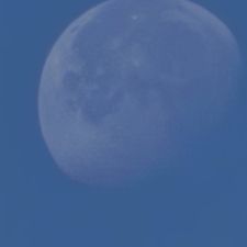 Profile image of Q.junior