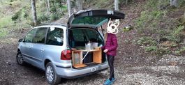 Campingmodul / Campingbox für Van / Bus / Hochkombi