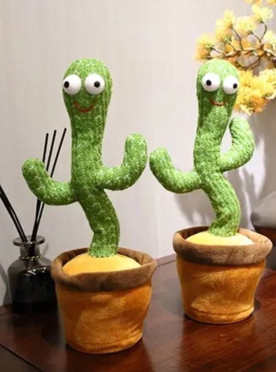 Jouets: Kaktus - Dancing Cactus (Spielzeug) – Neuf avec emballage d'origine à Edlibach par frizliana 2