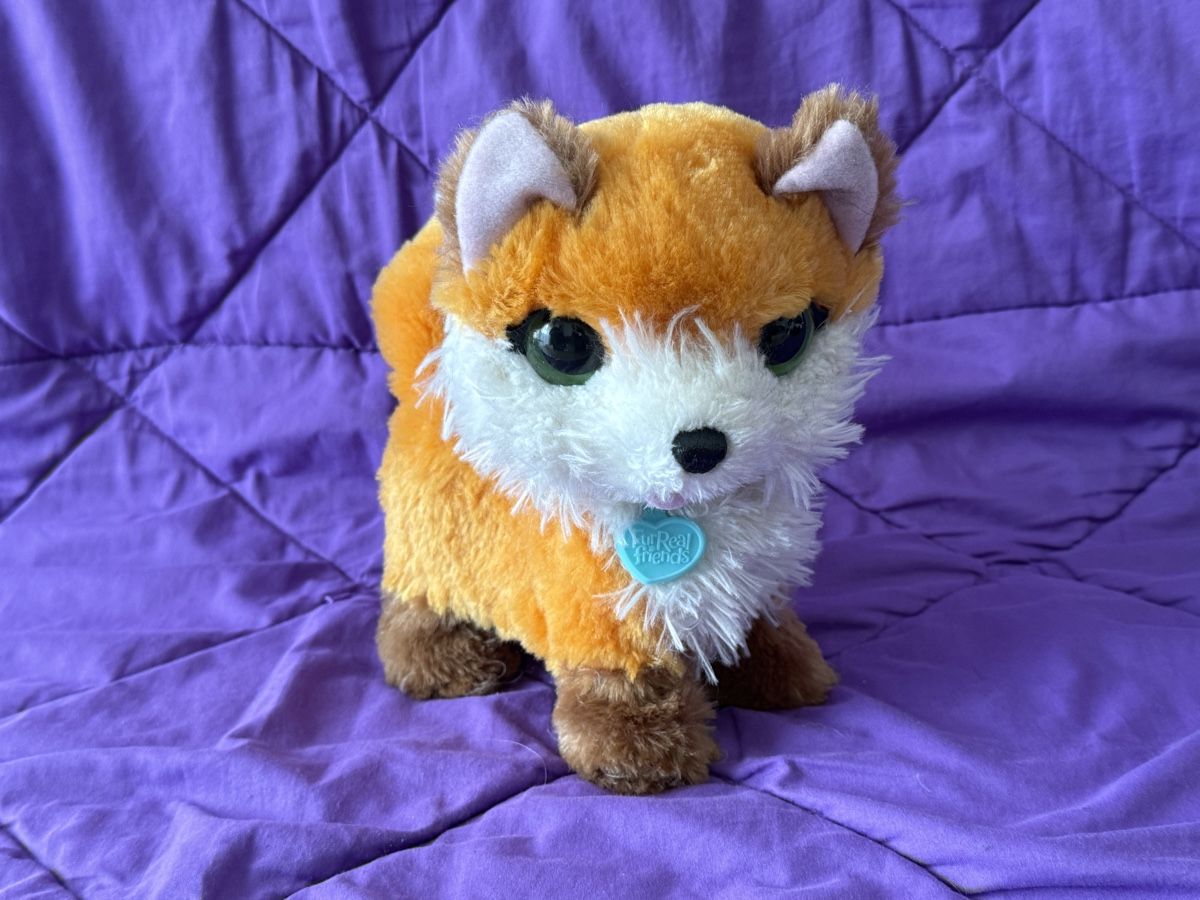 FurReal Giocattoli: FurReal Foxi – Usato da Bern venduto da Zeiseli