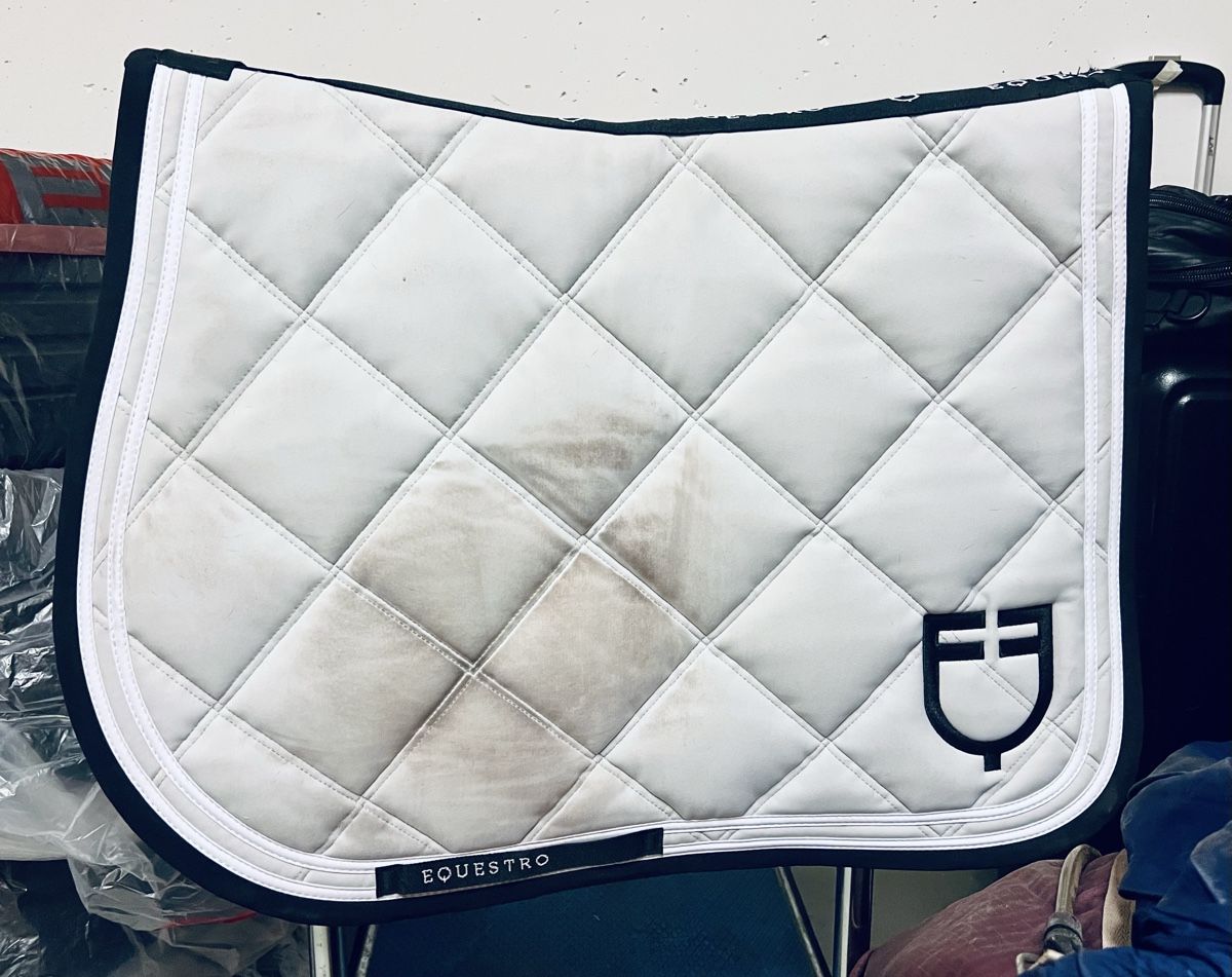 Coperte: Equestro Schabracke full – Usato da Honau venduto da StudioSunas