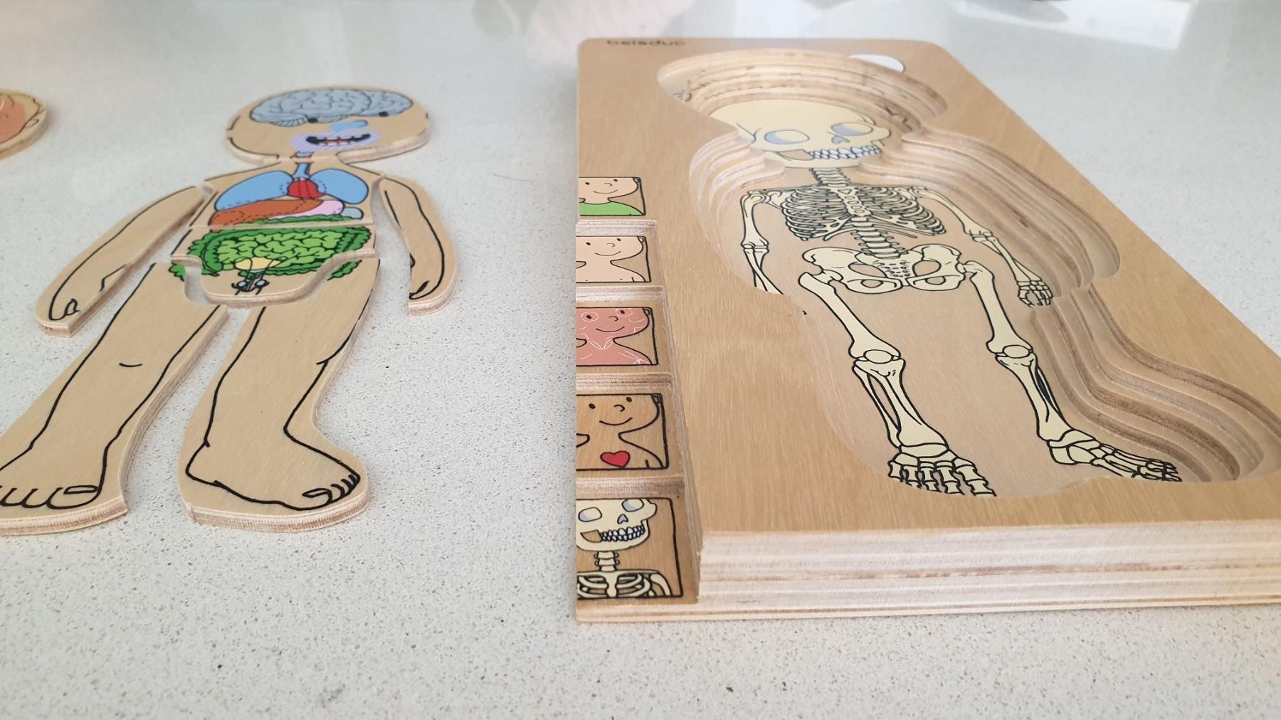 Puzzle: Puzzle Body/ Jungen – Usato da Würenlos venduto da JRP_71 6