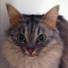 Profile image of pas_d6vd
