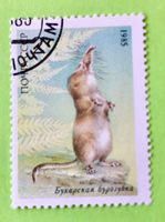 Briefmarken aus Sowjetunion gestempelt Siehe Original Fotos.
