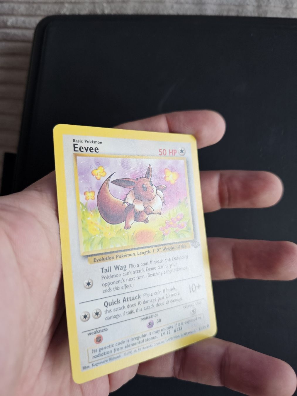 Pokémon Carte collezionabili: Original Pokemon Karte Eevee Jungle Set – Usato da oberbuchsiten venduto da thug4 2