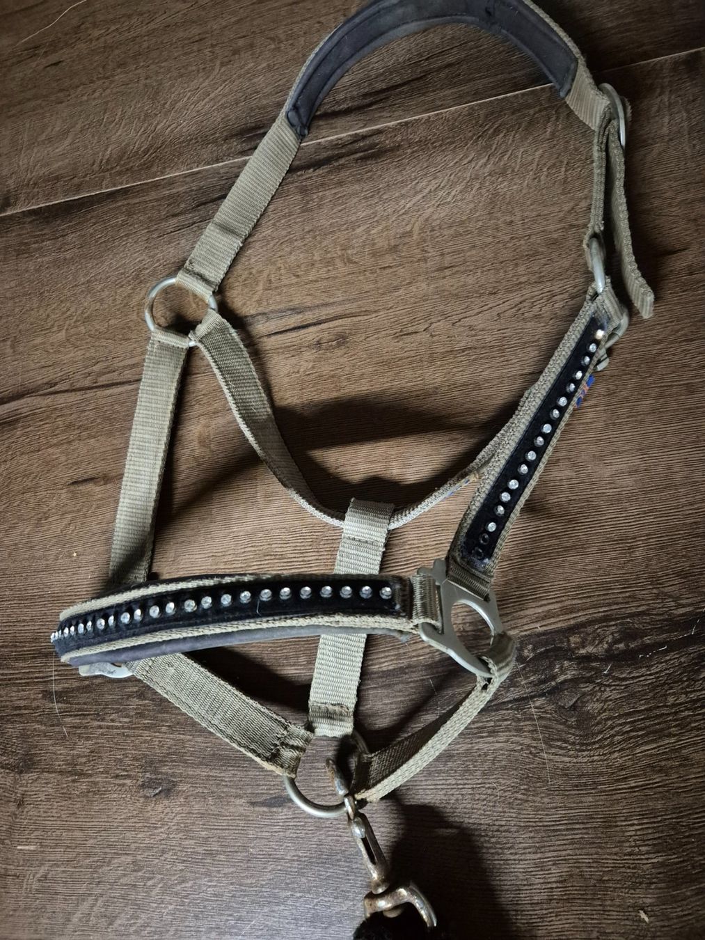 Brides, licols: Halfter Cob – D'occasion à Meggen par Orrinka20 1