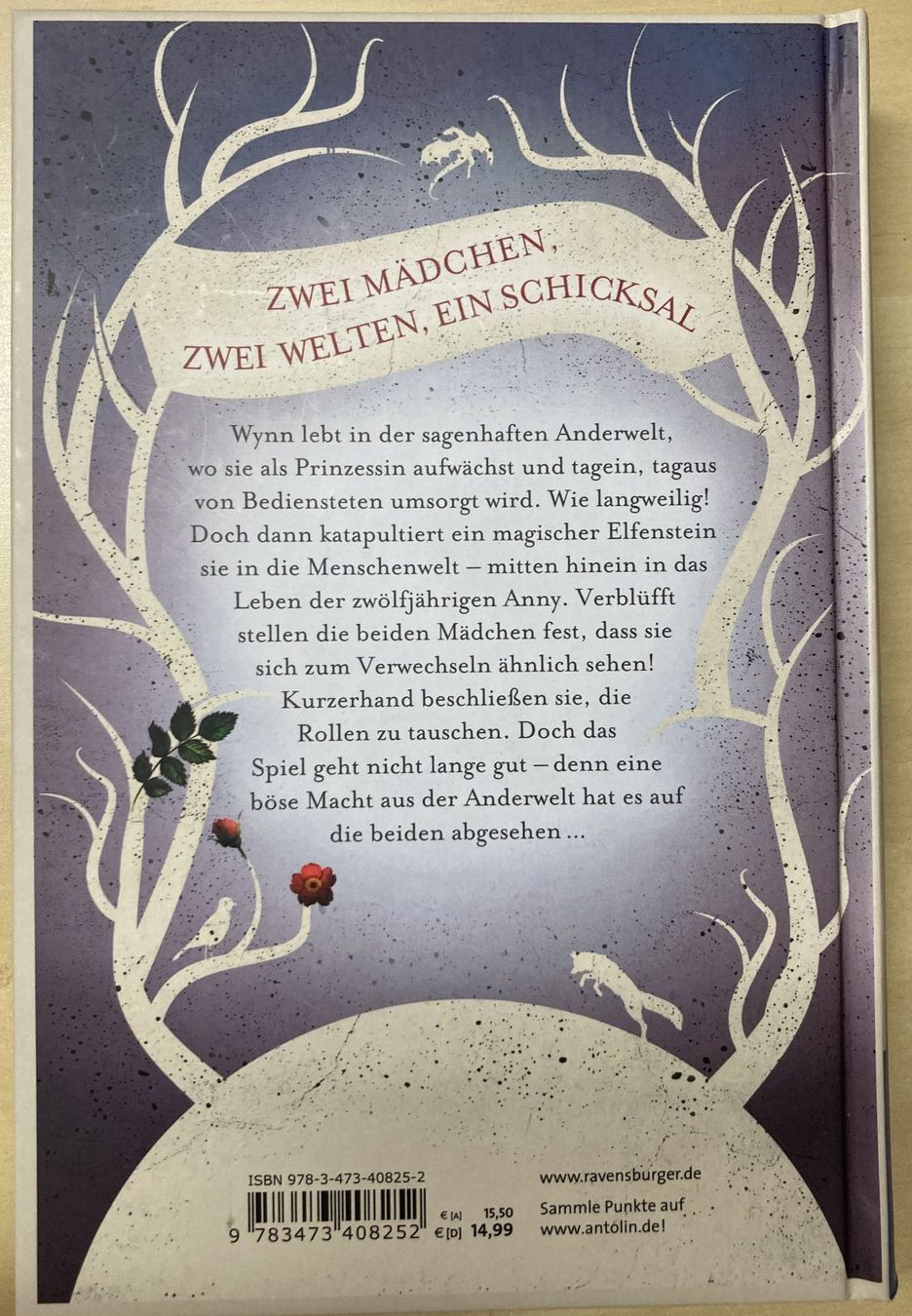 Libri: TWYNS Die magischen Zwillinge – Usato da Reinach BL venduto da Loma8 1