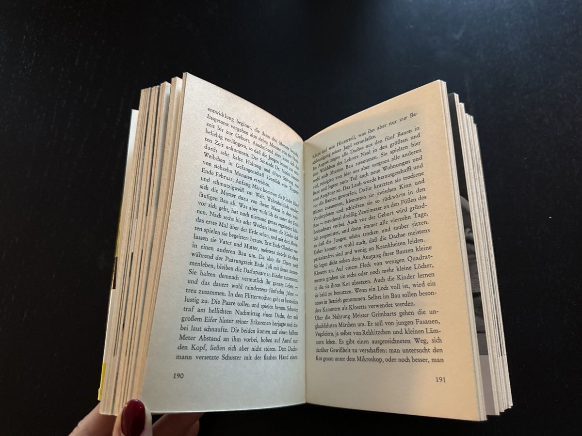 Libri: 20 Tiere und 1 Mensch – Usato da Erstfeld venduto da Uhu1980 1