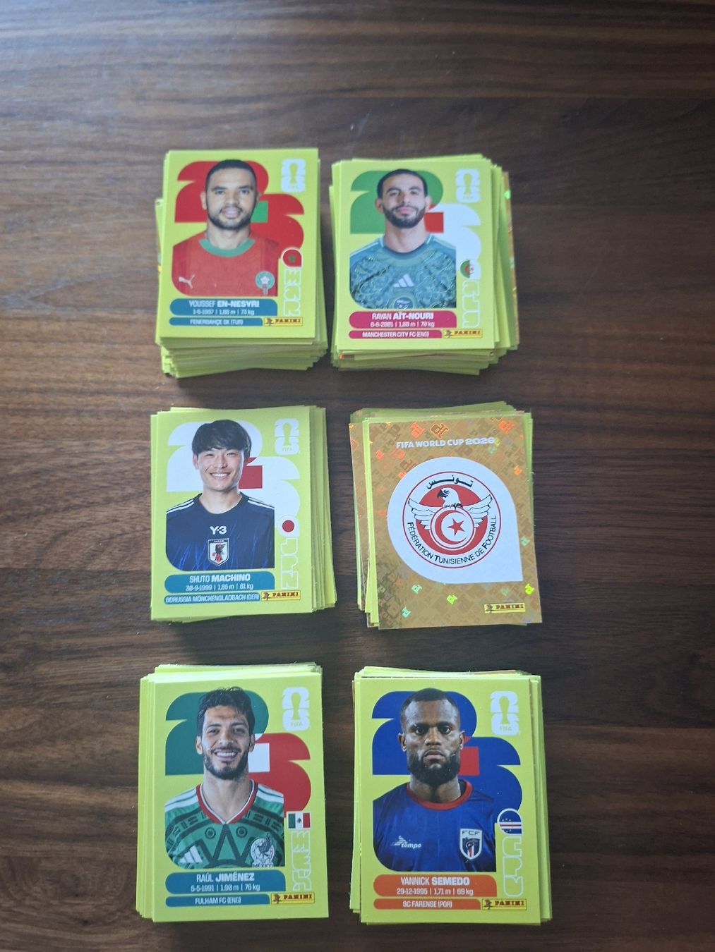 Panini Carte collezionabili: Über 400 Panini Bilder WM 2026 – Usato da Netstal venduto da sven24928 2