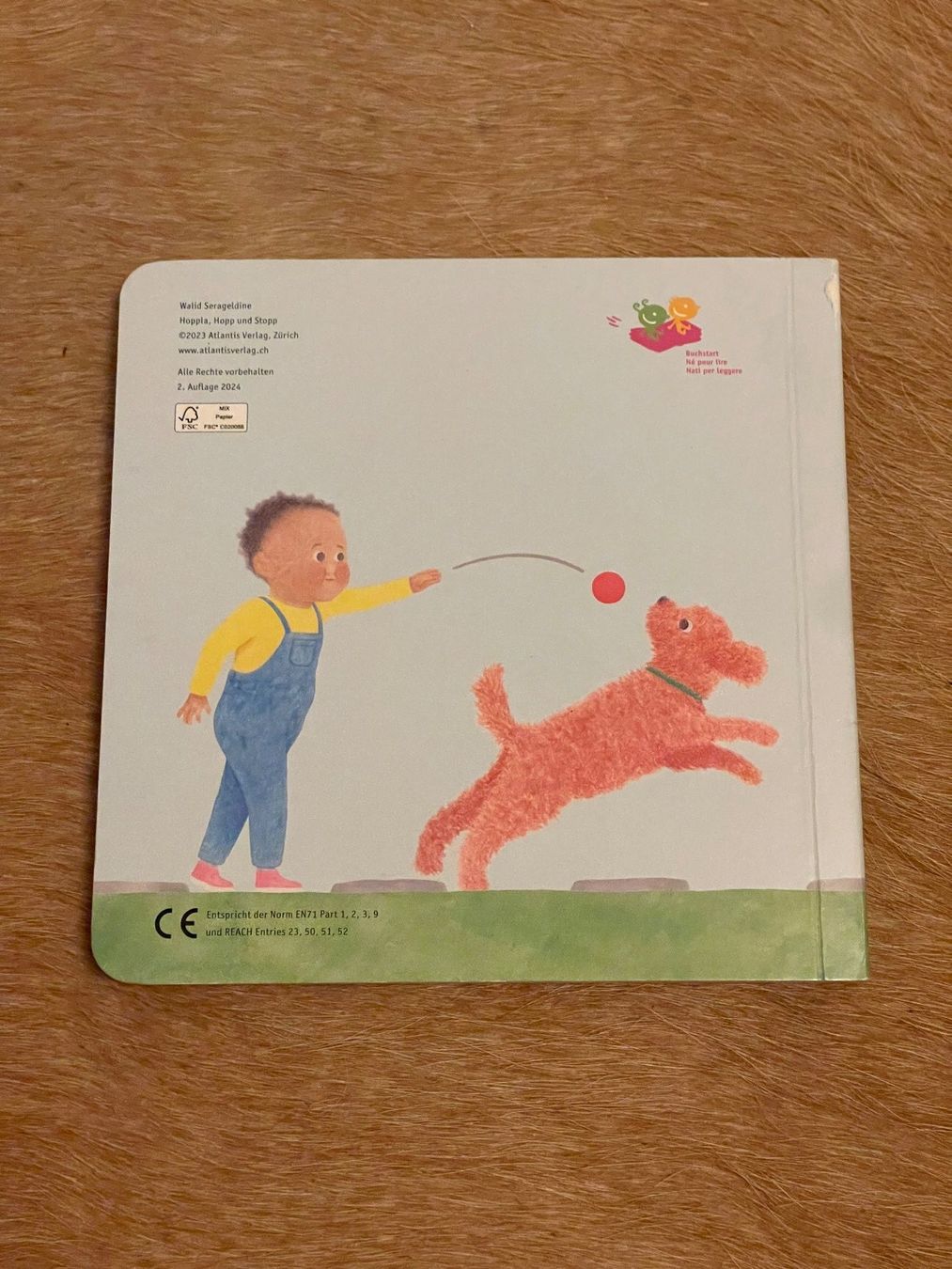 Bücher: Erstes Kinderbuch "Hoppla, Hopp und Stopp" – Neu (gemäss Beschreibung) aus luzern von plueschmors. 1