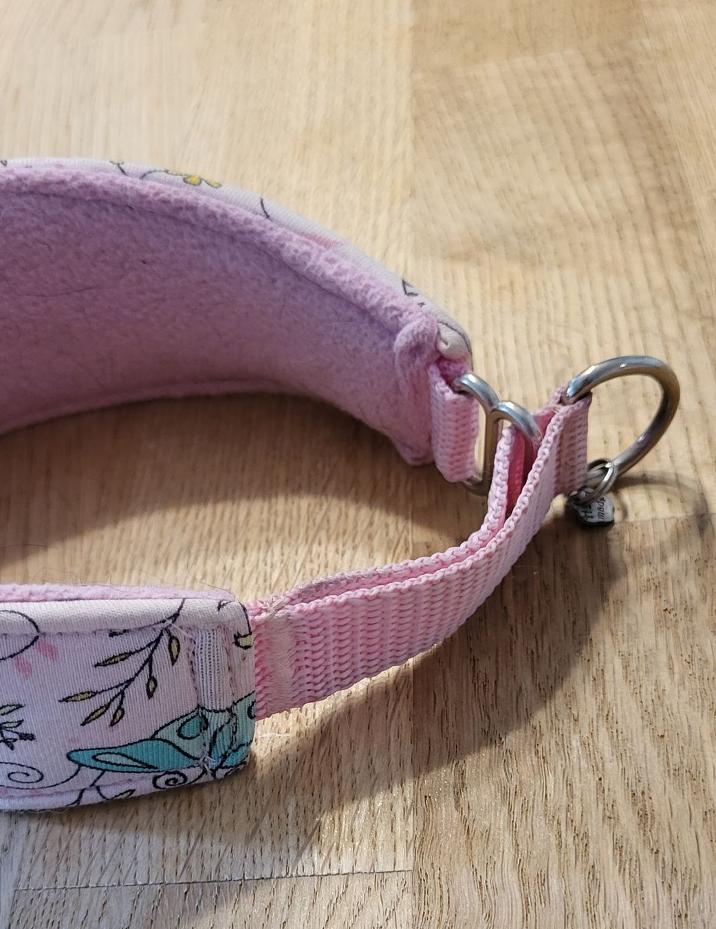 Guinzagli & Collari: Zug Stopp Halsband Windhund – Usato da oberuzwil venduto da Dogstyle 1