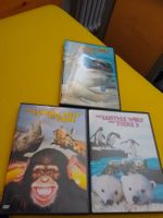 3 DVD s, Lustige Welt der Tiere