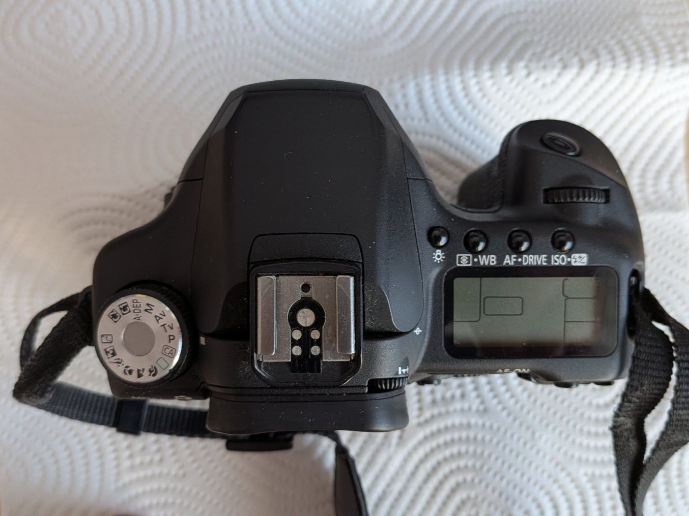 Canon Kamera: Canon EOS 50D Body – Gebraucht aus Münsingen von Rufer34 3