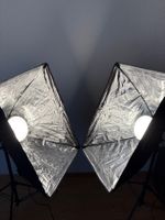 Walimex Pro Daylight Dauerlicht-Set (2x Softbox + Stativ)