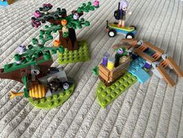 Lego friends skateuse