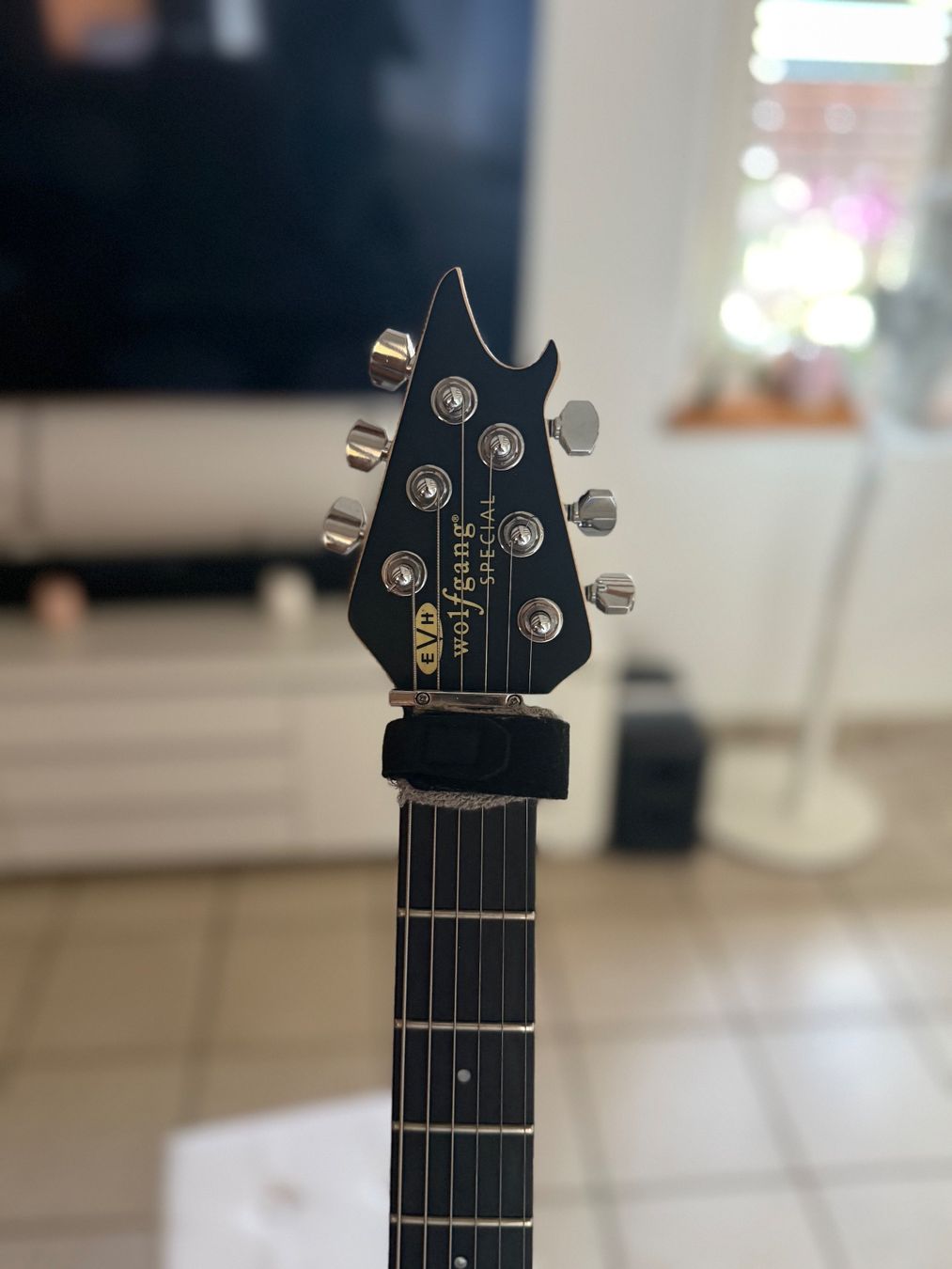 EVH Strumenti musicali: EVH Wolfgang Special MX – Usato da Hünenberg venduto da gipsy2308 1