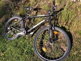 Kindervelo Stevens S4 Series
