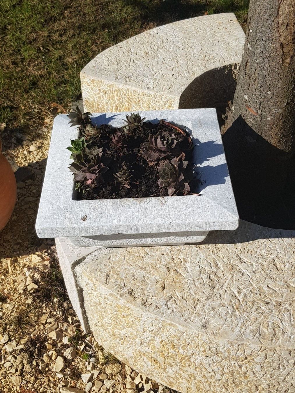 Vasi per fiori: Gartendeko Pflanzschale – Nuovo (secondo la descrizione) da Ehrendingen venduto da Amigo5 1