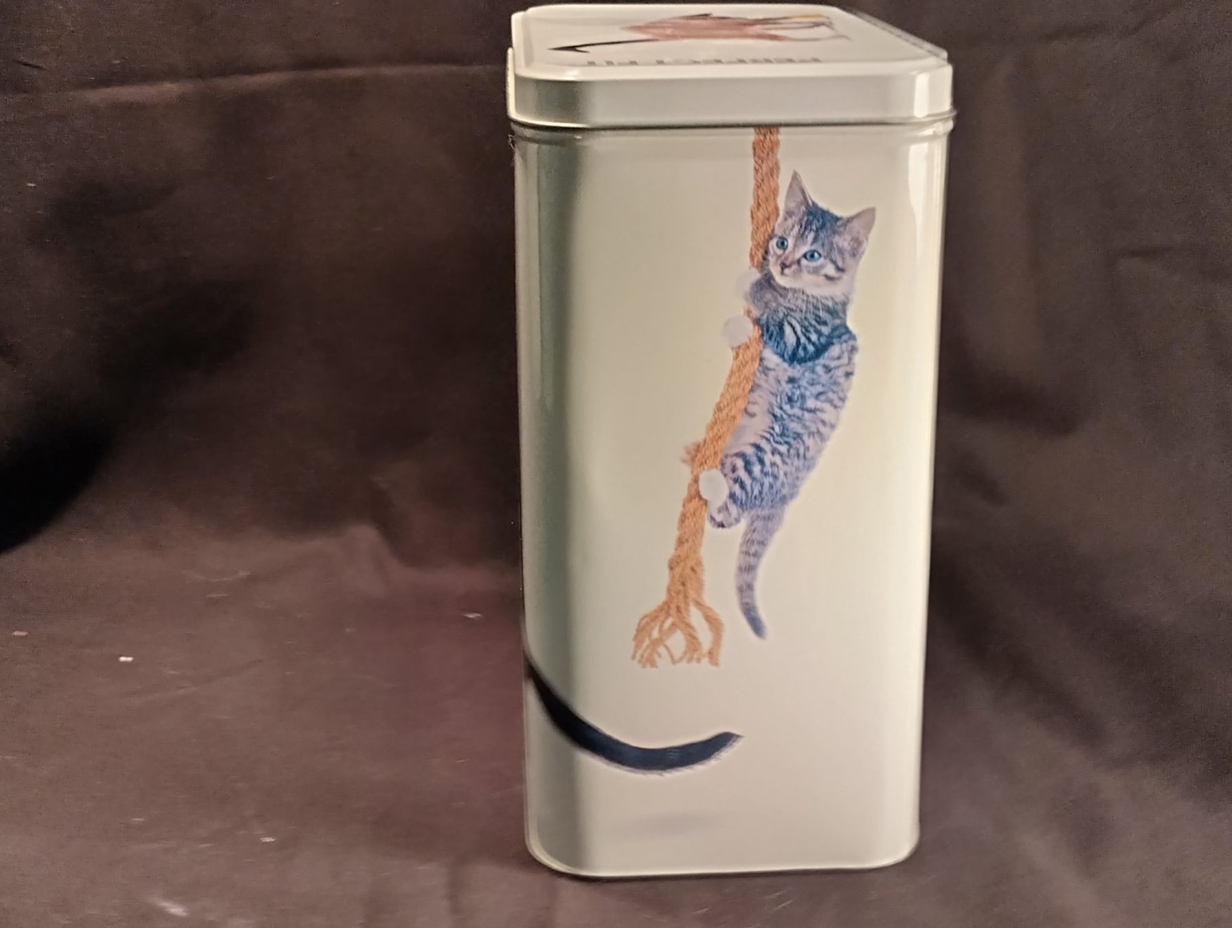 Sonstige Dekorationen & Accessoires: Blechbüchse PERFECT FIT mit Katzen – Gebraucht aus Bellach von JingleCherry 3