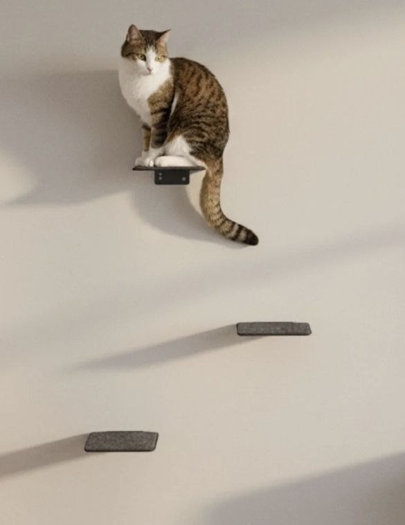 Katzenbaum - Kratzbaum: LUCY BALU Steps Katzentreppe - neu! – Neu und originalverpackt aus Ennetbaden von dom_5nlb 1