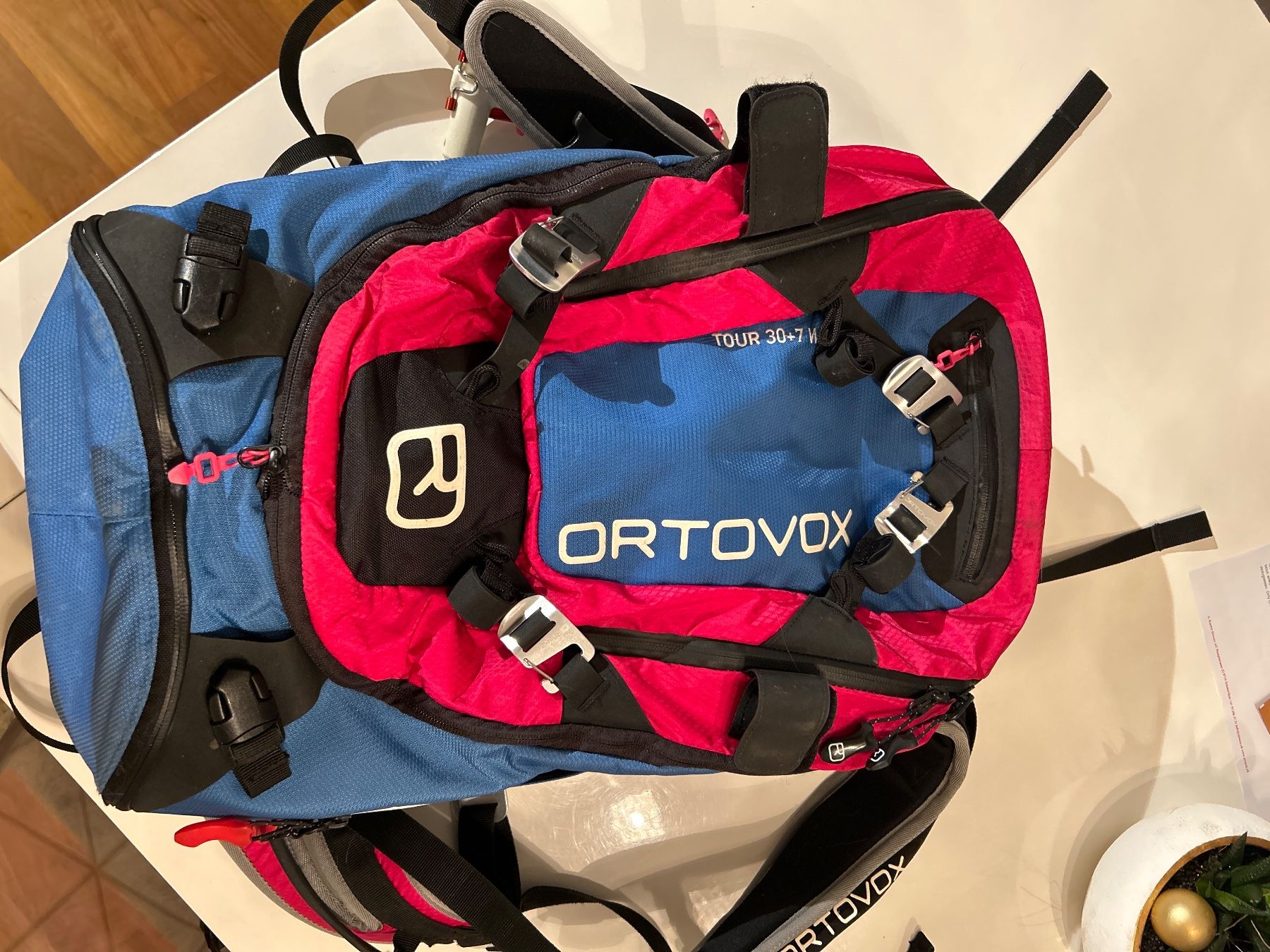 Ortovox Skis: Ortovox Lawienenrucksack – Gebraucht aus Jenins von Pocahontas013 4