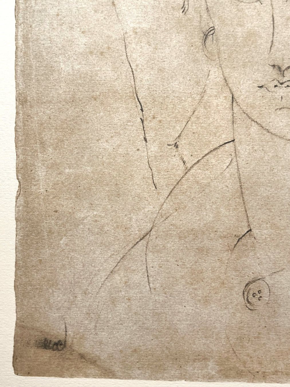Grafica & Litografie: Amedeo Modigliani - Lithografie in limitierter Auflage – Usato da Ponte Tresa venduto da 11GalleriaAlterEgo11 4