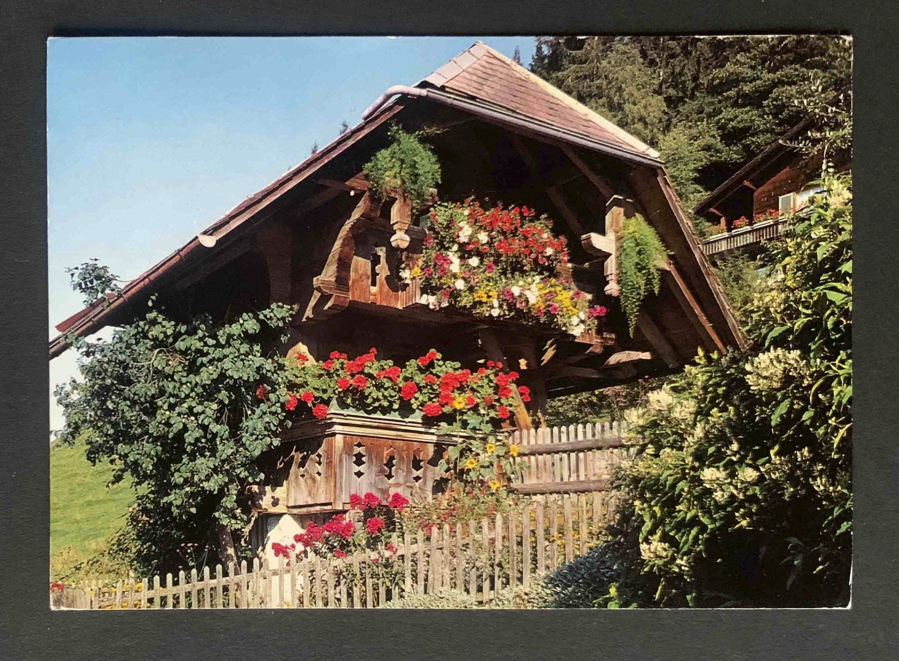 Cartoline postali: AK Berner Spycher – Usato da Goldau venduto da artelier1