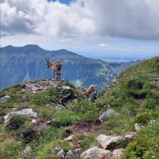 Profile image of EveBoedeli