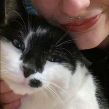 Profile image of maitefdlg