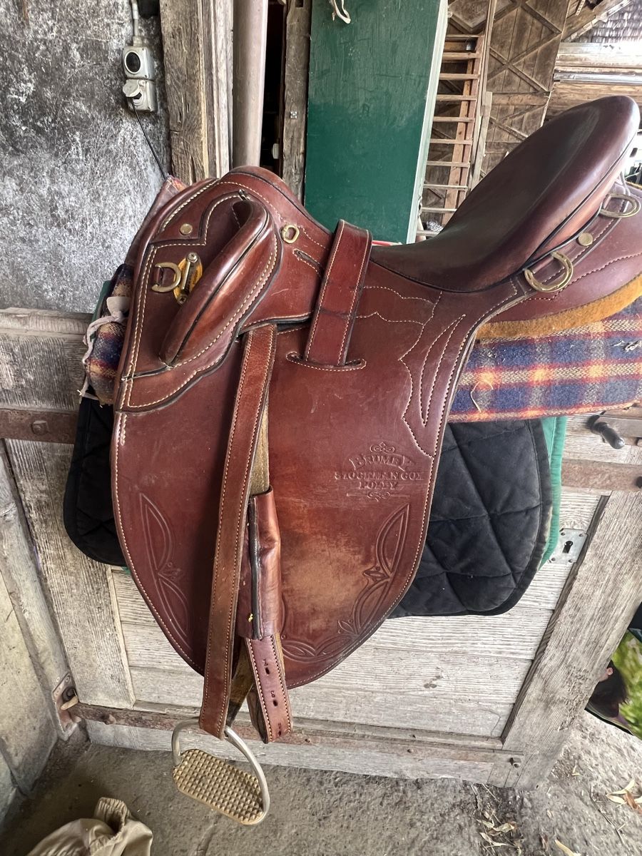 Sattel & Sattelzubehör: Brumby Stocksattel – Gebraucht aus Amlikon-Bissegg von Kandel 1