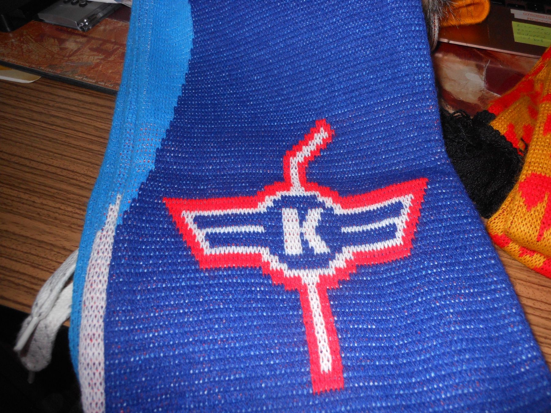 Foulard & Sciarpe: EHC Kloten Fan Schal – Usato da Dübendorf venduto da Glatttaltiger