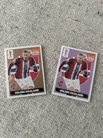 Panini Stickers doppelt Haaland