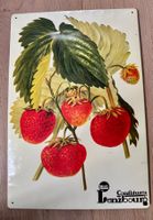 Dekoratives HERO Blechschild 39.5 x 26.5 cm Erdbeeren
