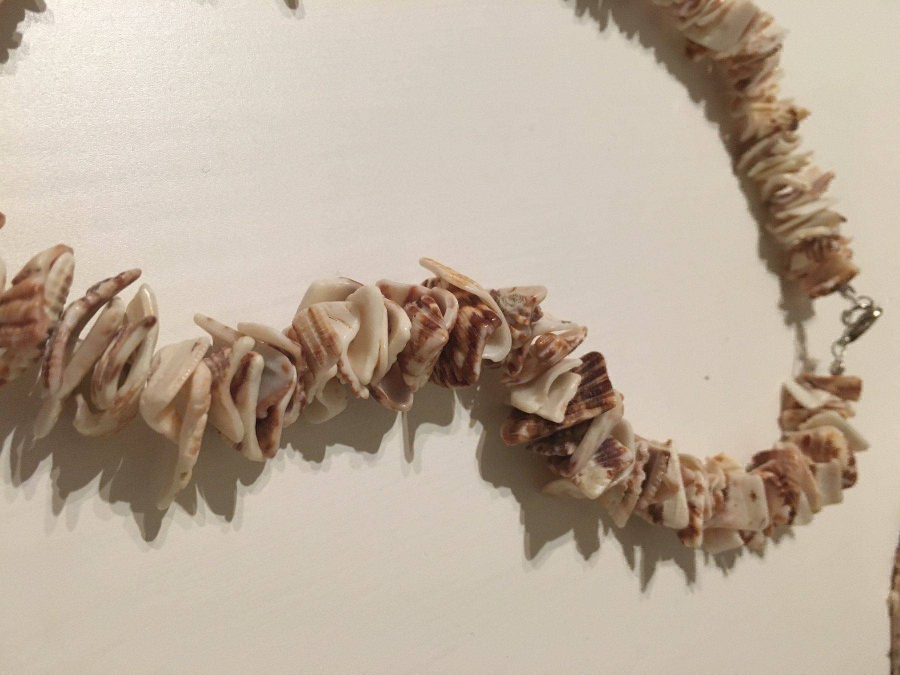 Ketten: Muschelkette – Neu (gemäss Beschreibung) aus Hinteregg von Carimba90 1