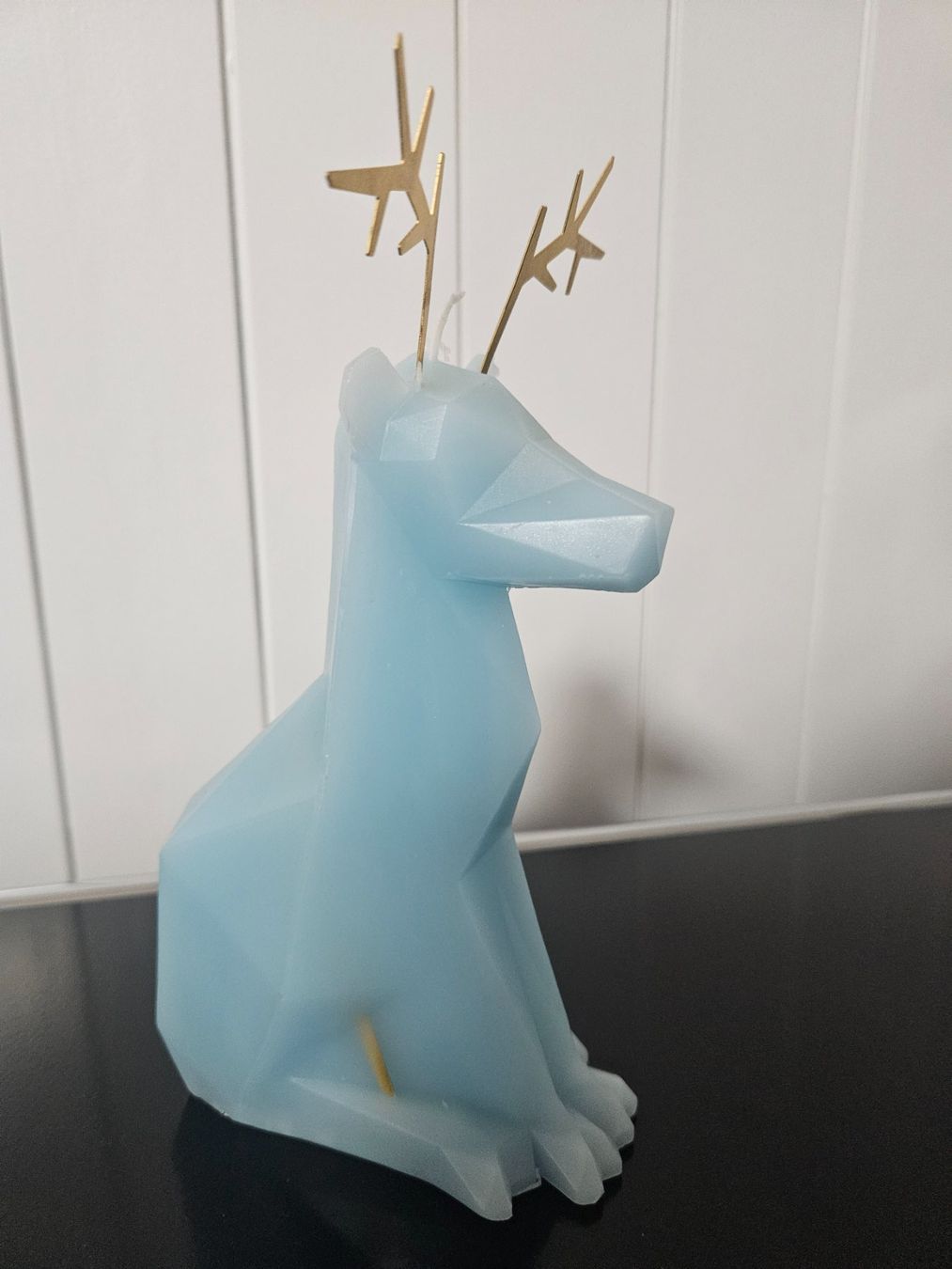 Kerzen: PyroPet Dyri Kerze – Neu und originalverpackt aus Abtwil SG von daxsg 4