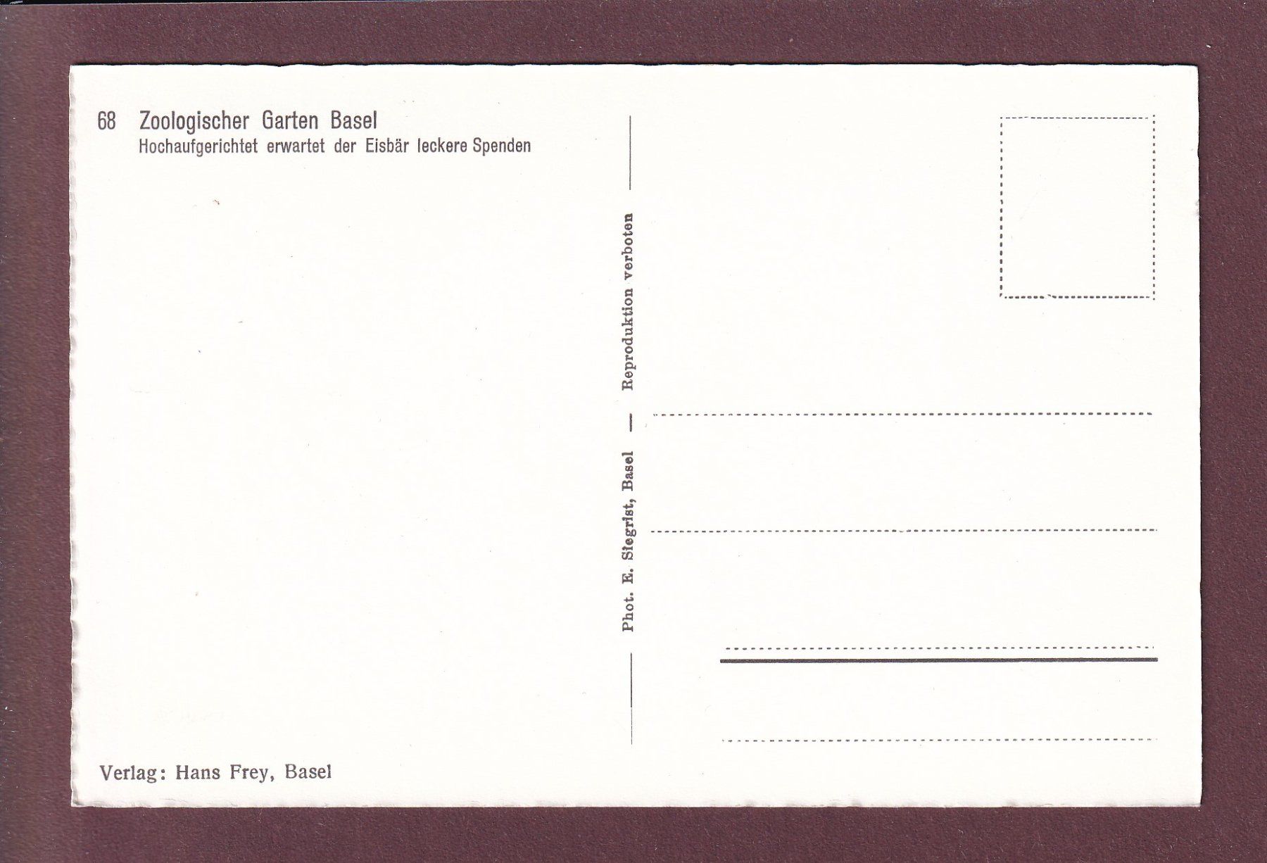 Cartes postales: BASEL - Zoologischer Garten - Eisbär – D'occasion à Pully par nicecards 1