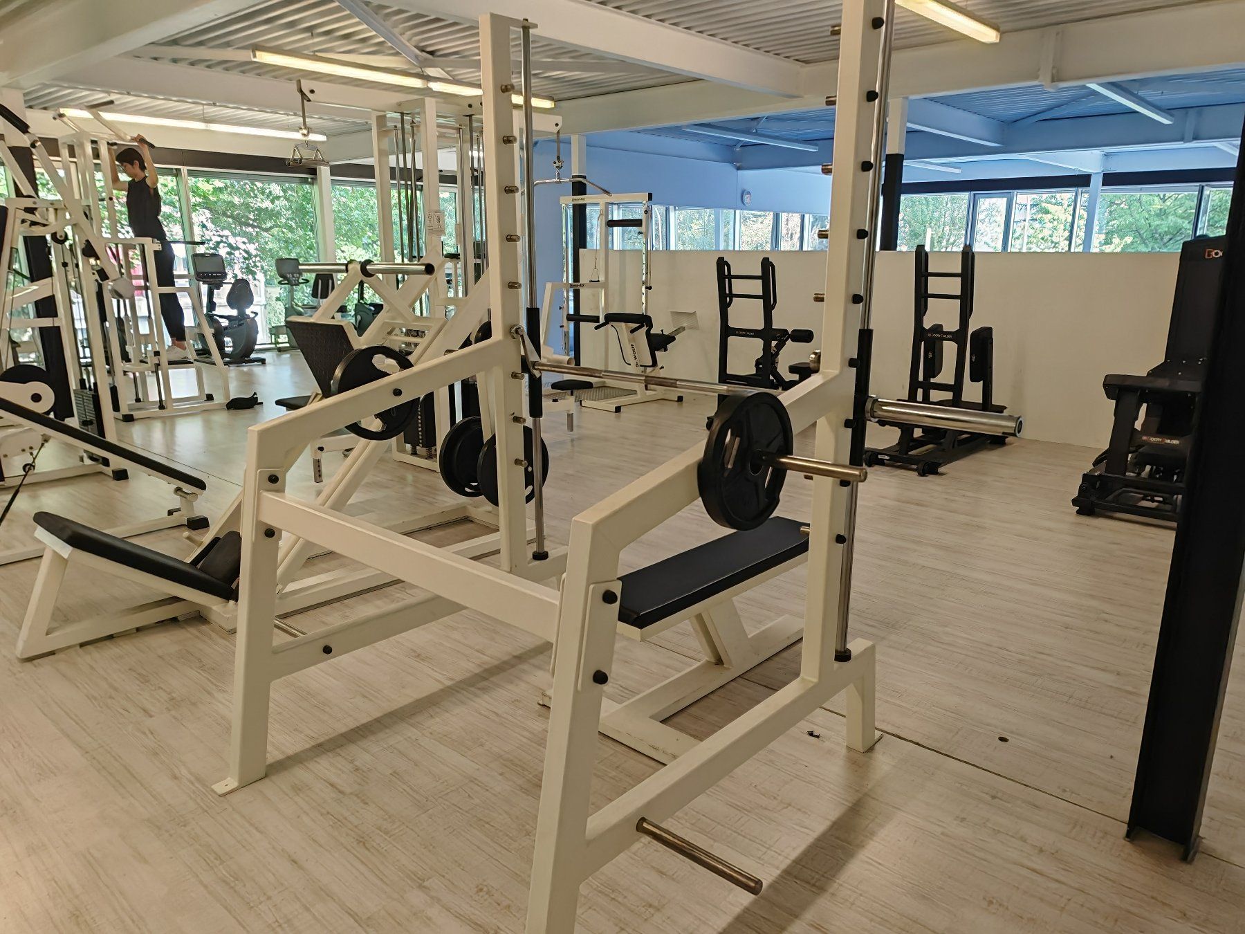 Hometrainer: Multipresse (Smith Machine) – Usato da Bern venduto da Sudowudo 1