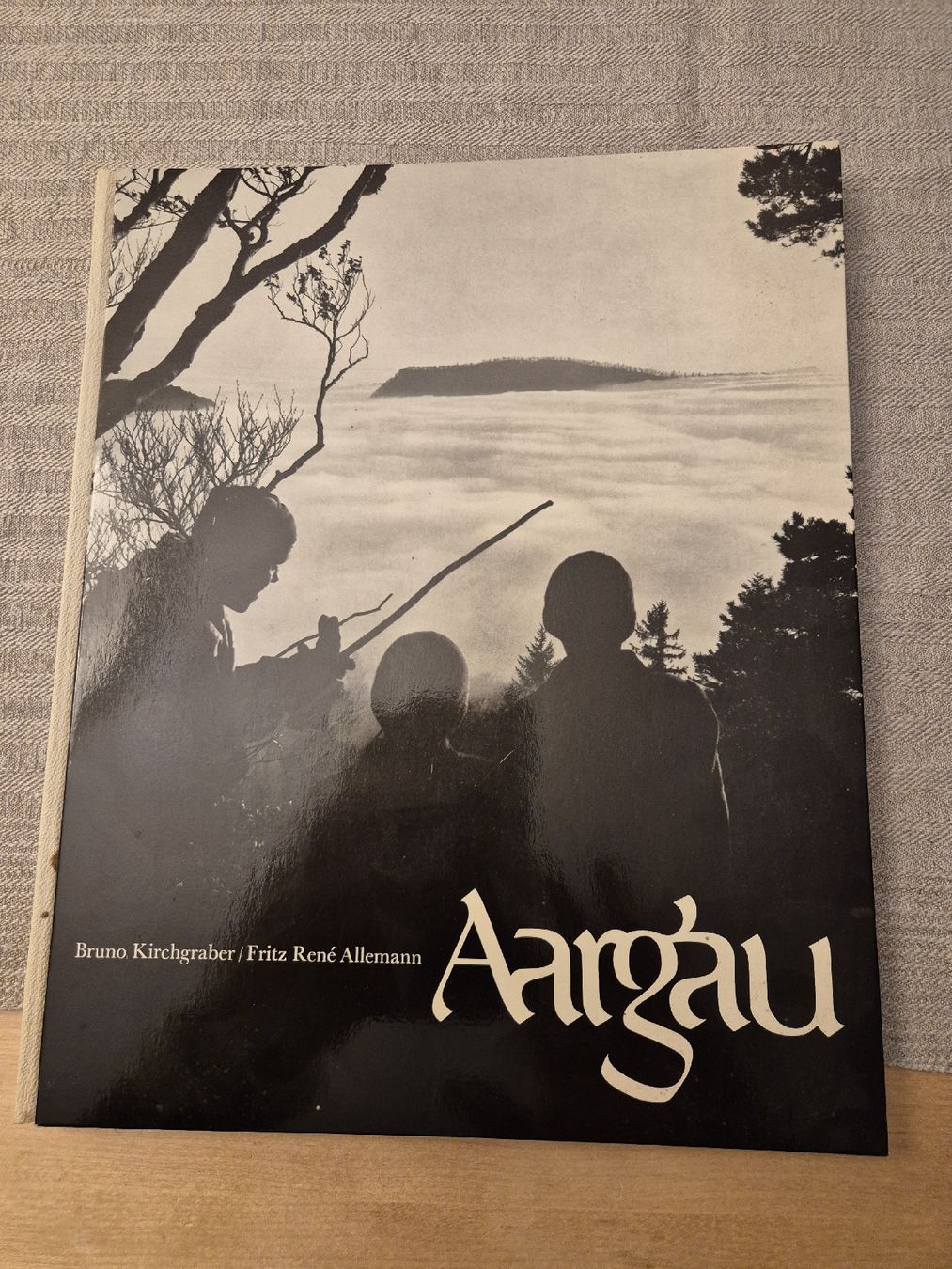 Bücher: Aargau Buch – Gebraucht aus Ehrendingen von Amigo5