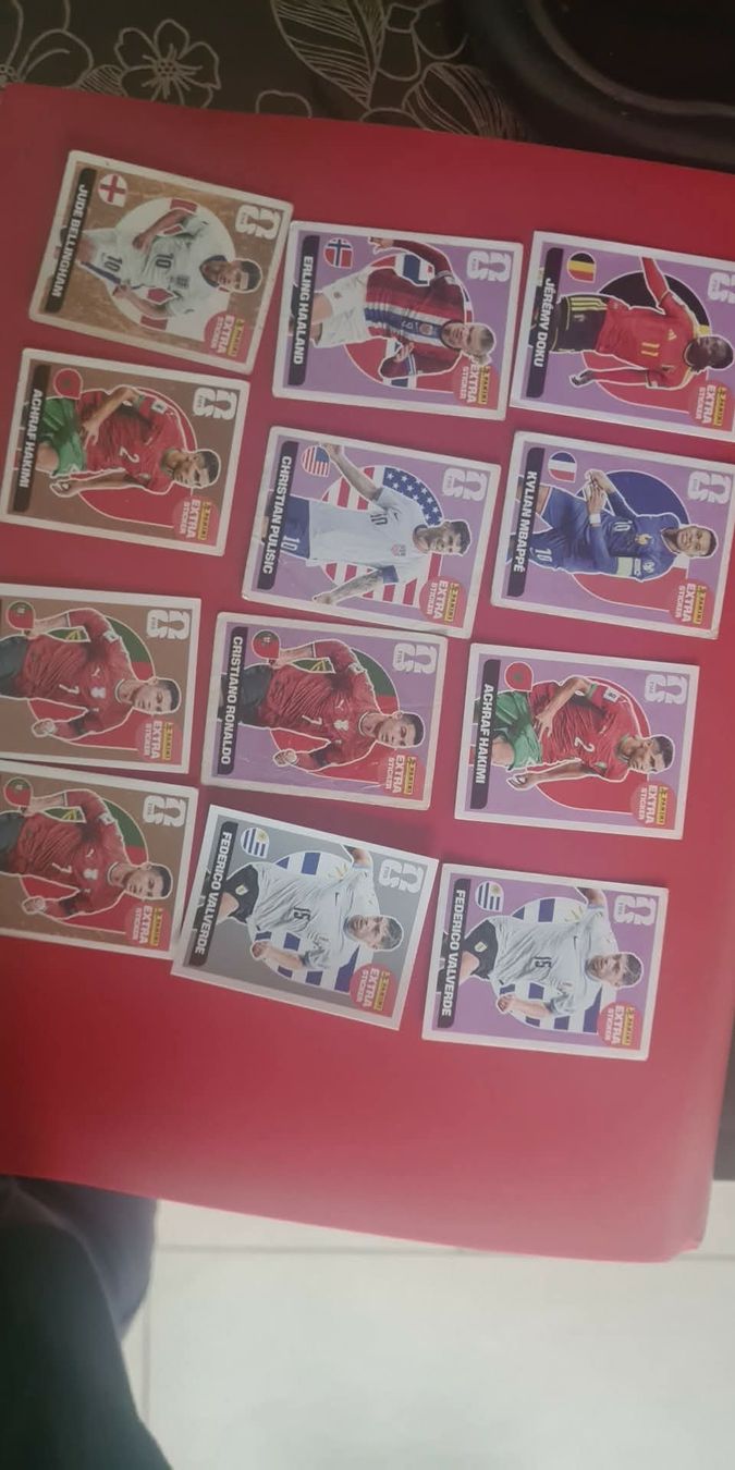 Panini Sammelbilder & Trading cards: carte panini 2026 – Gebraucht aus Lausanne von sonyasonya