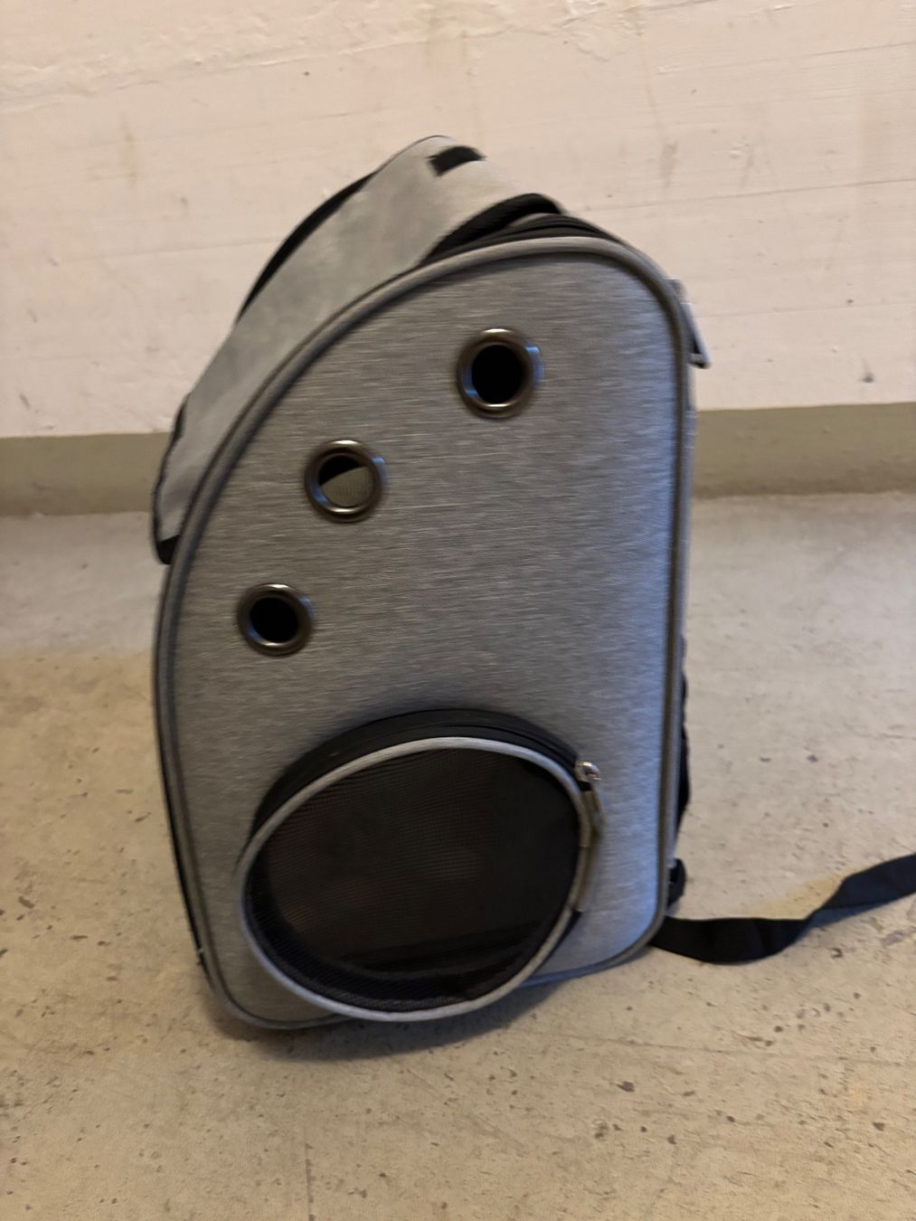 Zaini: Transportrucksack Katze – Usato da Winterthur venduto da BrilleAnt 1