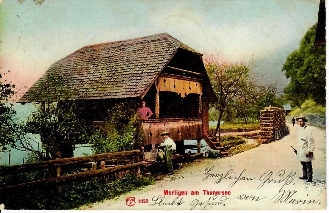 Cartoline postali: Merligen am Thunersee 1904 – Usato da Hochdorf venduto da Ziegel-16