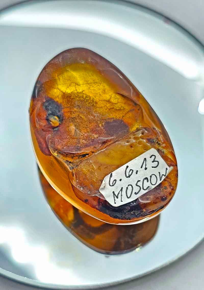 Mineralien & Heilsteine: BERNSTEIN mit Inklusion "Deko Bernstein" – Gebraucht aus Zug von urzeit 5