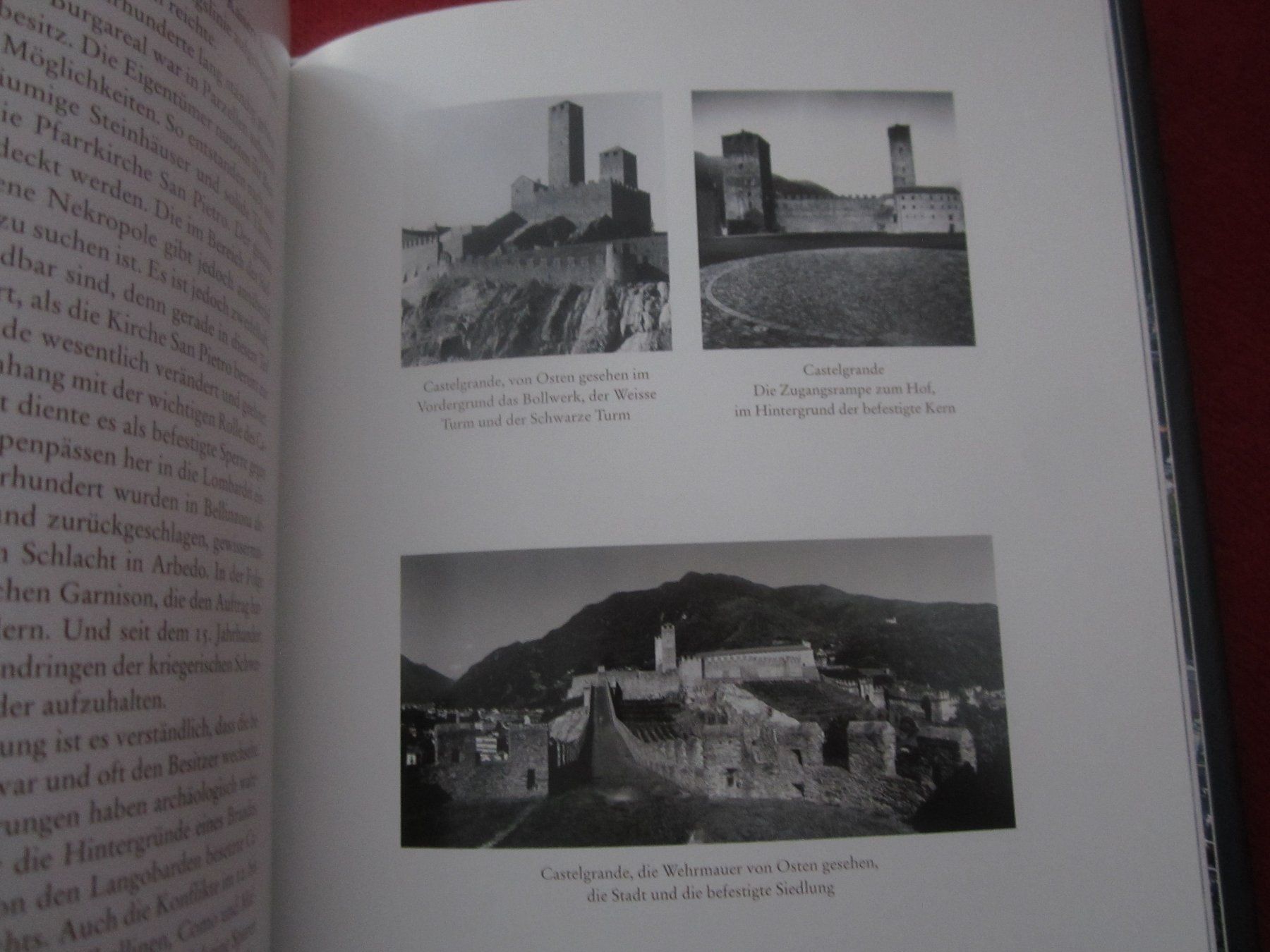 Bücher: Bellinzona Weltkulturerbe - Bildband – Gebraucht aus Volketswil von nemo2000 6