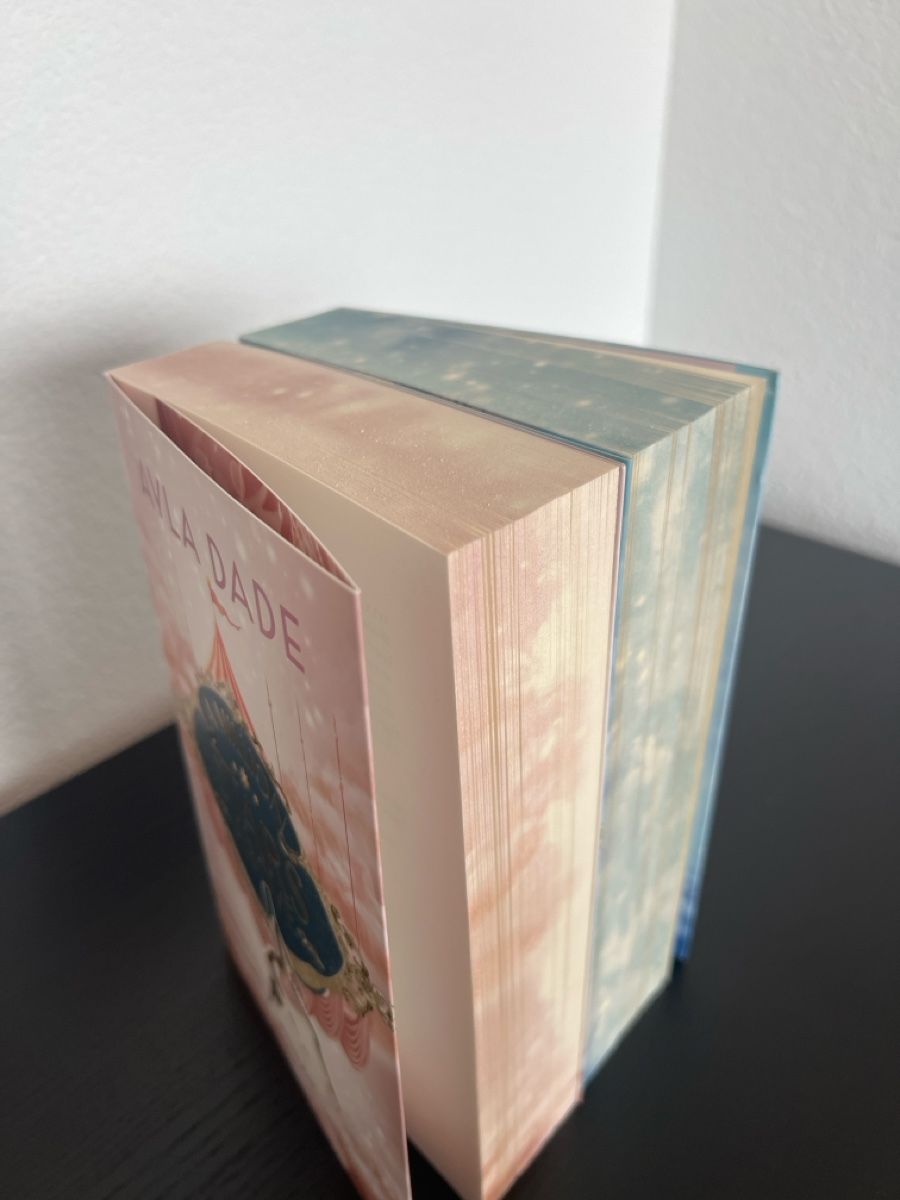Bücher: Ayla Dade: Buchreihe: Sky Circus – Gebraucht aus Ufhusen von maxpayne93 2
