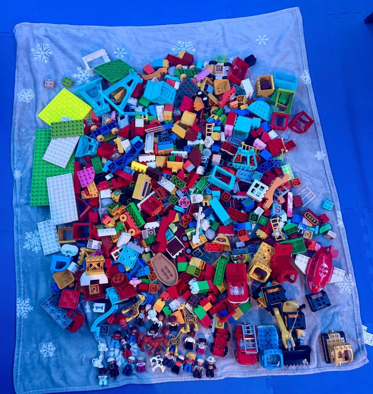 Lego Giocattoli: Lego Duplo grosses Set 9.5 kg – Usato da Basel venduto da jp_2020 2