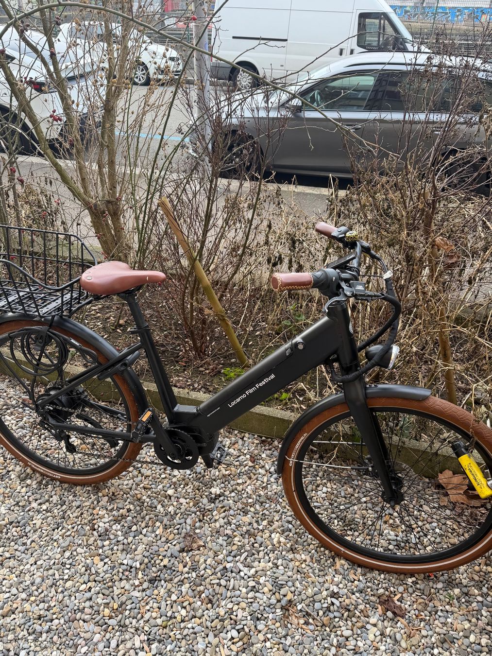 Ego Movement Biciclette: Top Ego Movement Julia E-Bike – Usato da Zürich venduto da mgraziano90
