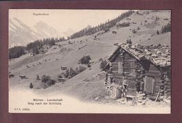 MÜRREN - Weg nach der Schiltalp - CPN
