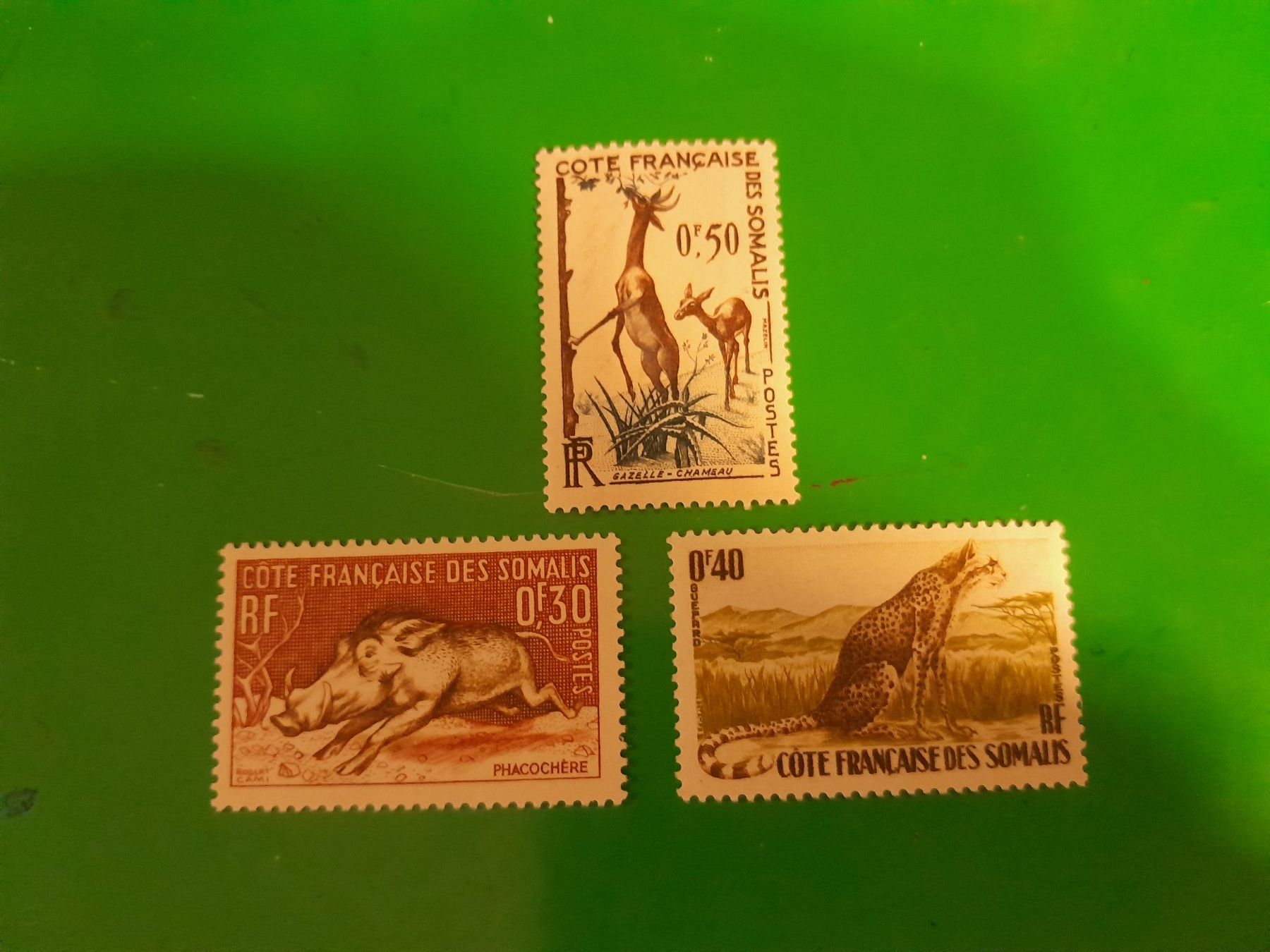 Tutti i francobolli: Somaliküste Tiere – Nuovo (secondo la descrizione) da Marly venduto da globetrotter1723