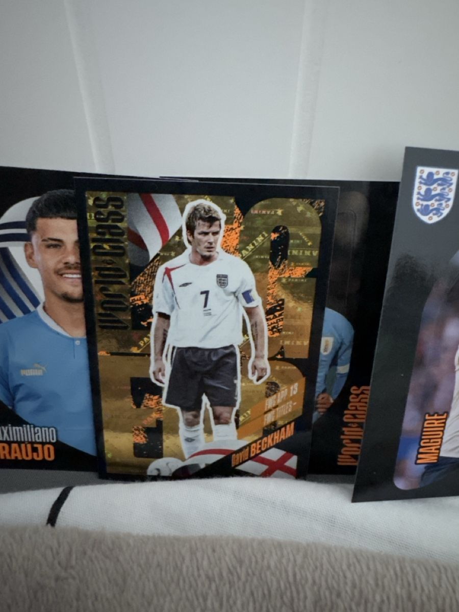 Panini Cartes à collectionner: PANINI World Class 2024 – Neuf (Voir description) à Emmen par ekstador