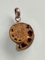 Fossil Anhänger in Silber 925 gefasst, Rarität!